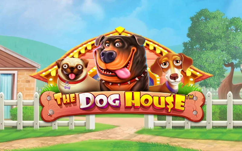Have fun in The Dog House slot game at Quickwin.