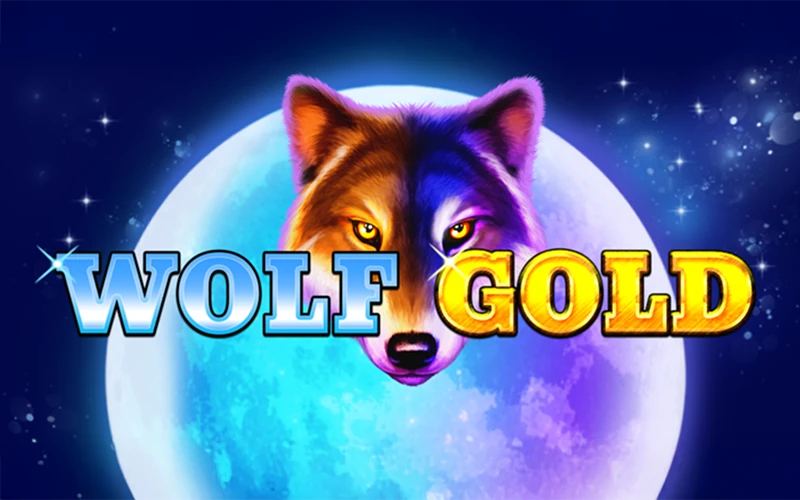 Hunt for prizes in Wolf Gold at Quickwin casino platform.